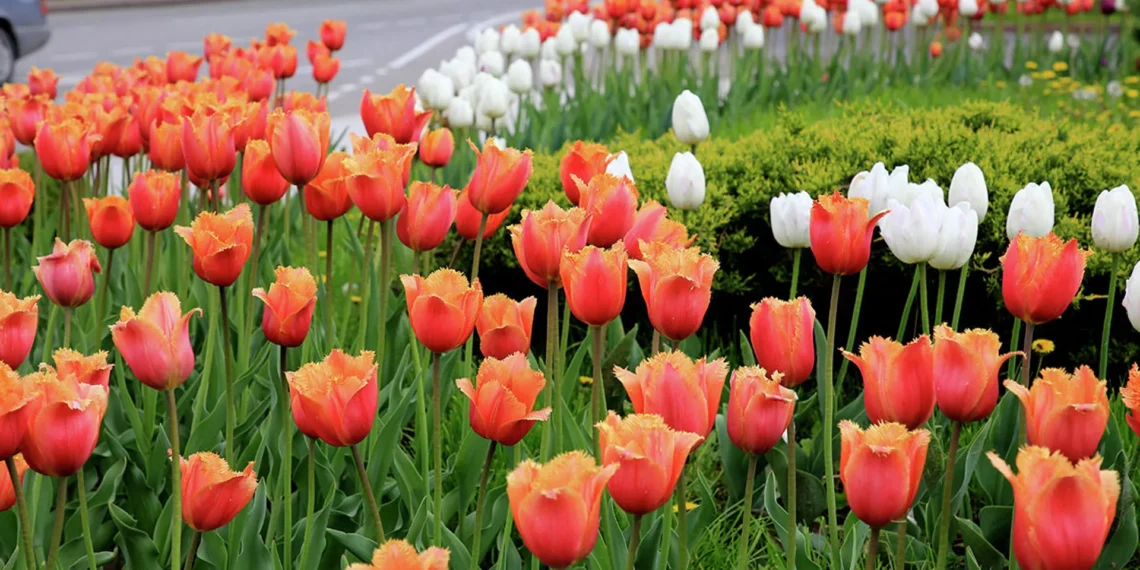 © Sputnik / Анатолий Устиненко