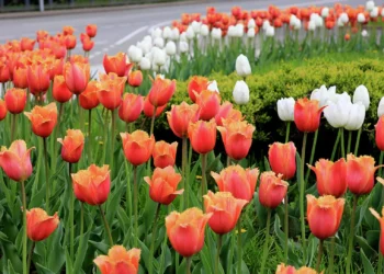 © Sputnik / Анатолий Устиненко