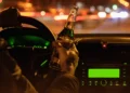 Мас болып көлік айдағандарға 8 жыл жүргізуші куәлігі берілмейді